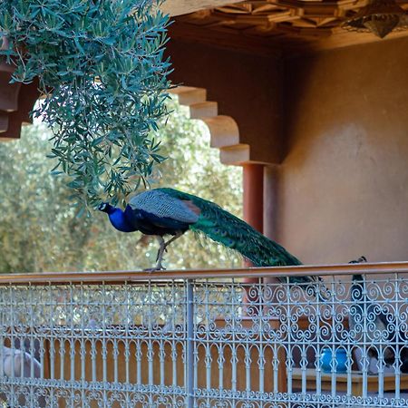 Ferme Sidi Safou & Spa Villa Marrakesh Luaran gambar