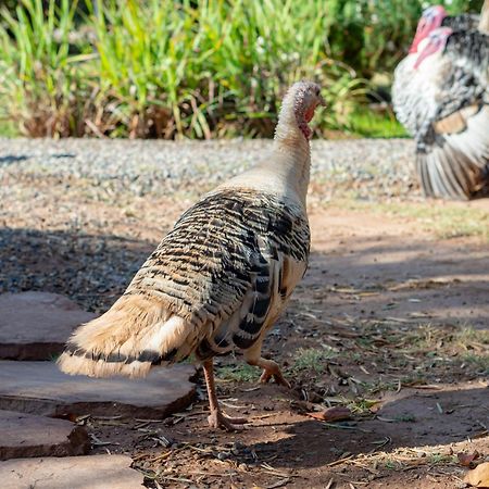 Ferme Sidi Safou & Spa Villa Marrakesh Luaran gambar