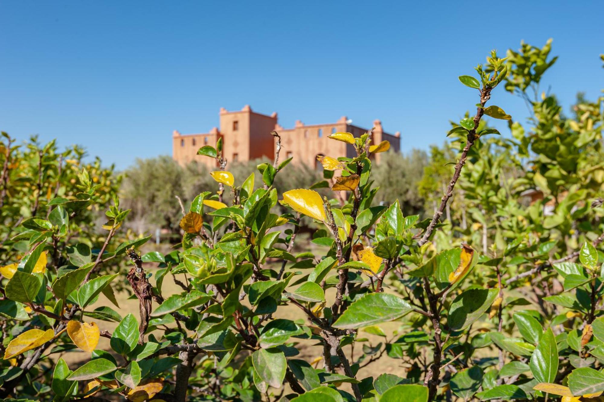 Ferme Sidi Safou & Spa Villa Marrakesh Luaran gambar