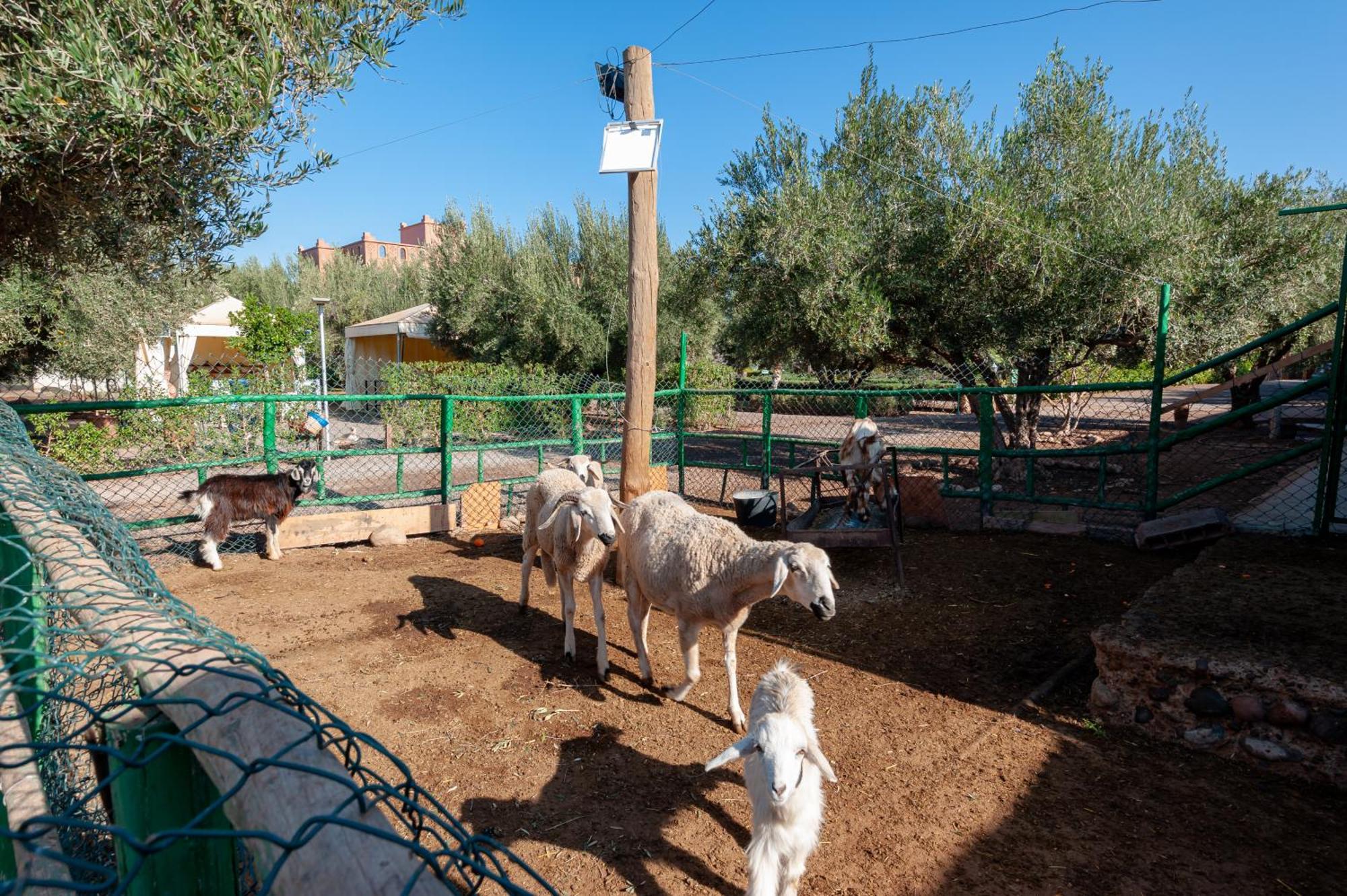 Ferme Sidi Safou & Spa Marrakesh Luaran gambar