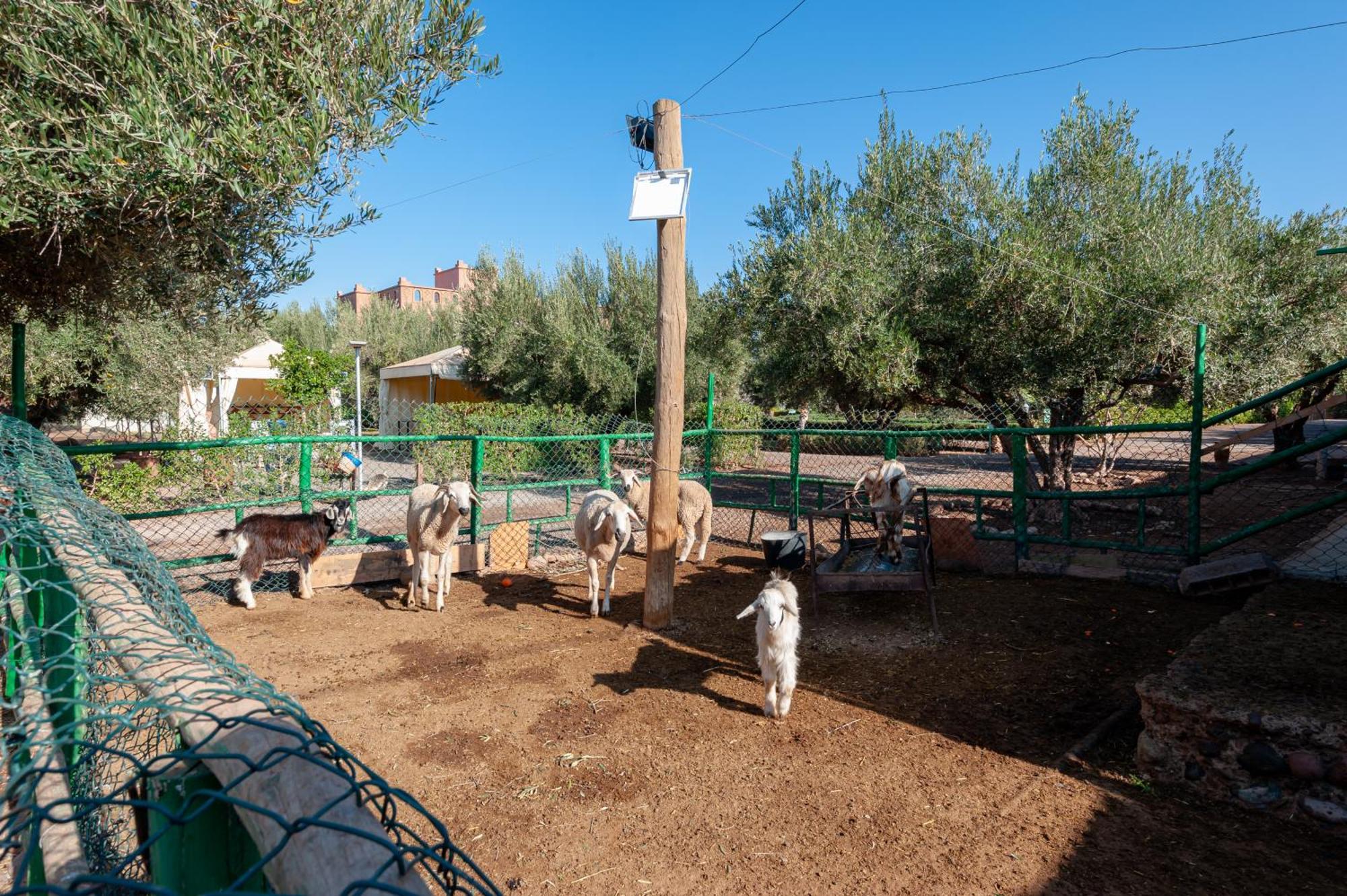 Ferme Sidi Safou & Spa Marrakesh Luaran gambar