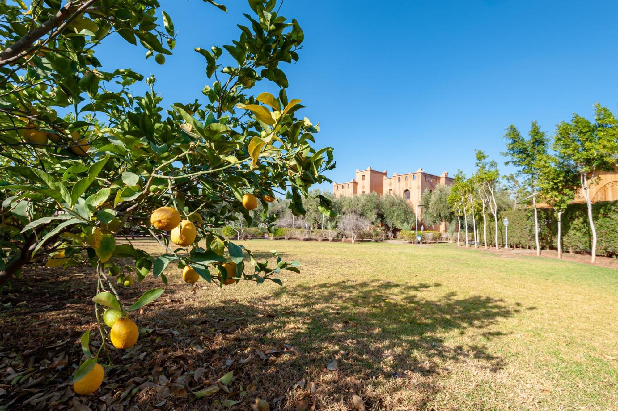 Ferme Sidi Safou & Spa Marrakesh Luaran gambar