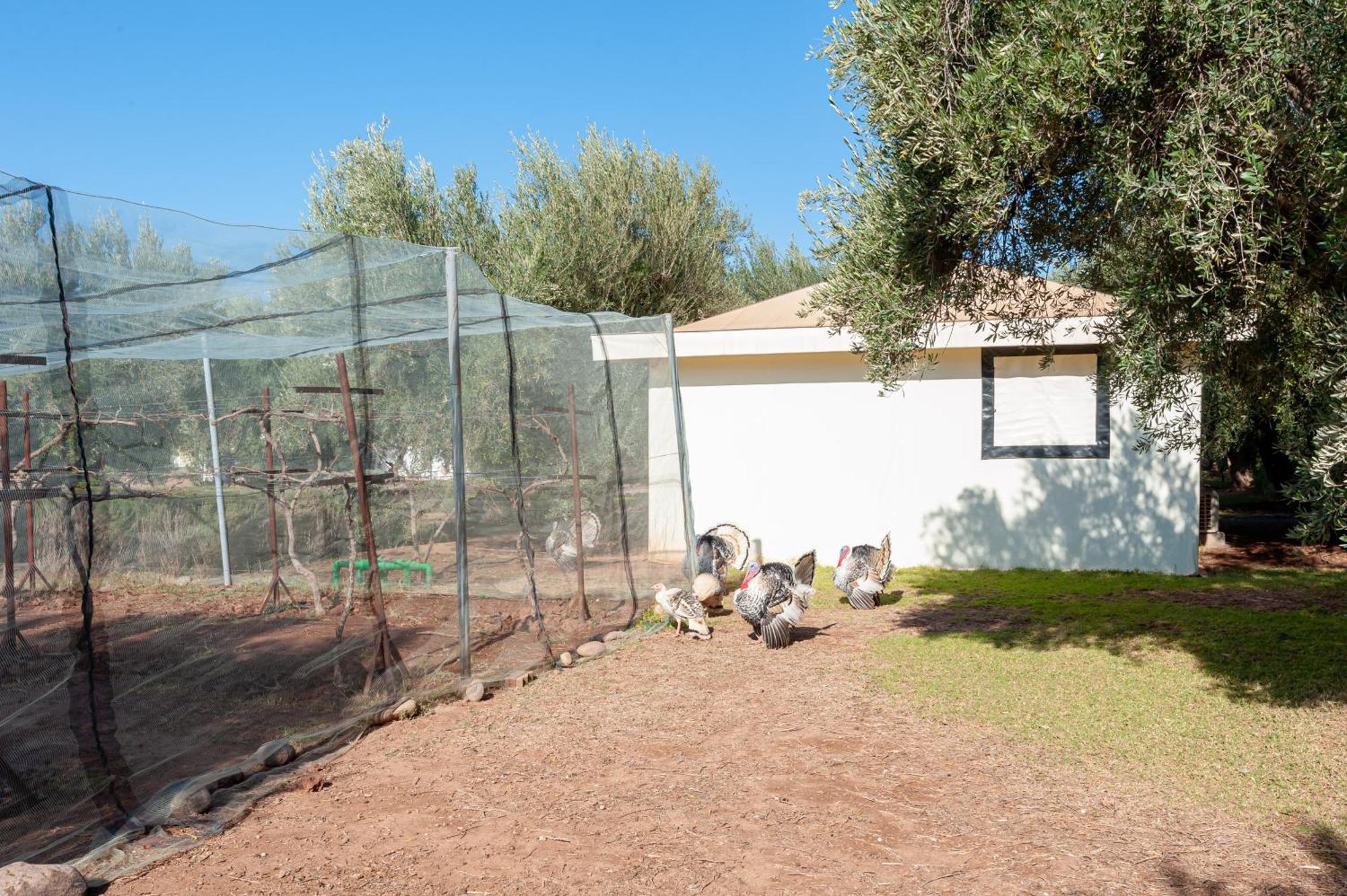 Ferme Sidi Safou & Spa Villa Marrakesh Luaran gambar