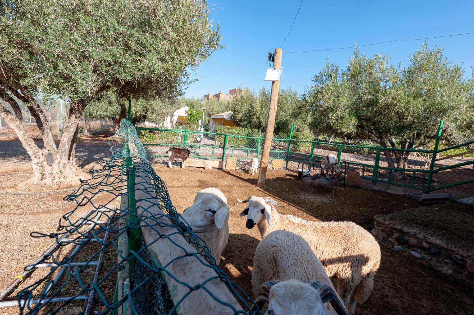 Ferme Sidi Safou & Spa Villa Marrakesh Luaran gambar